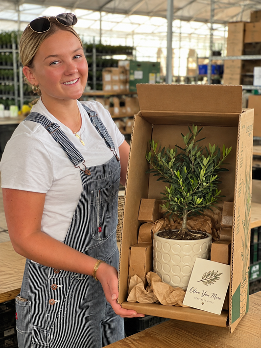 Olive You More — Specialty Gift